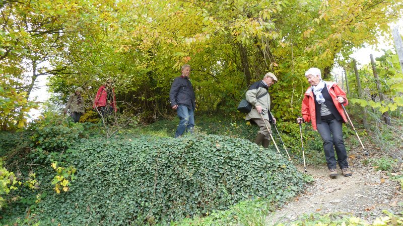 Rotweinwanderung 24.10.2015